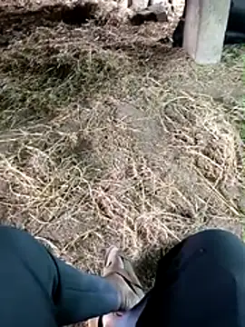 Pokazy przed kamerką – Pusssyfuc