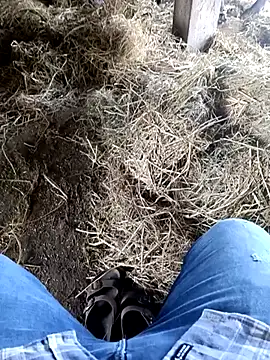 Pusssyfuc Webcam-Show