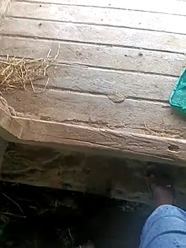 Pusssyfucn Webbikameraesitys