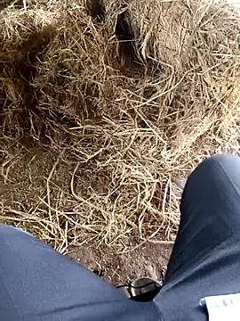 Pusssyfucn Webbikameraesitys