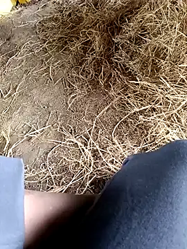 Pusssyfuc Webcam-Show
