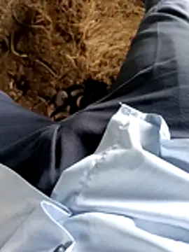Pusssyfuc Webcam show