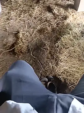 Pokazy przed kamerką – Pusssyfuc