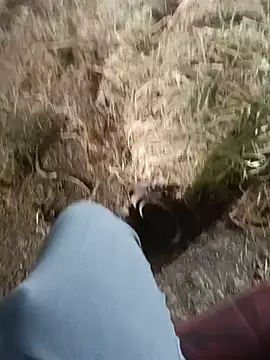 Pusssyfuc 在線直播表演