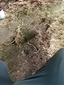Pusssyfuc Pertunjukan Webcam
