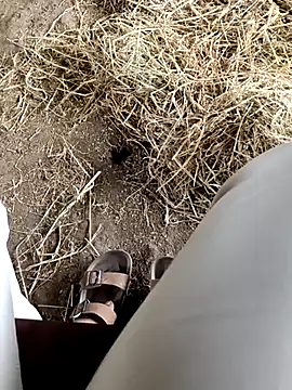 Pusssyfuc webcam show