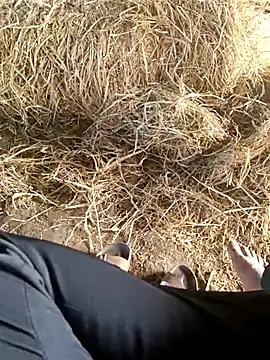 Pusssyfucのウェブカメラショー