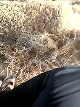 Pokazy przed kamerką – Pusssyfuc