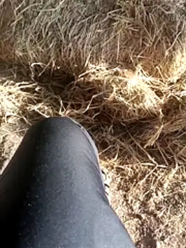 Pusssyfuc Show in webcam