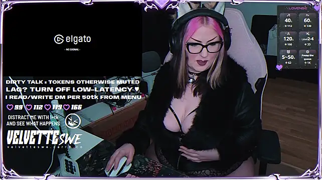 VelvetteSWE Webcam Show