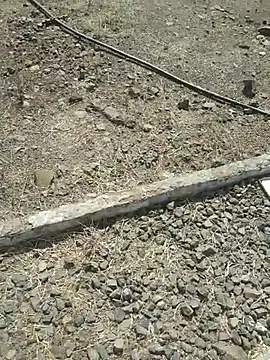 sexyboy_917 Webcam-Show