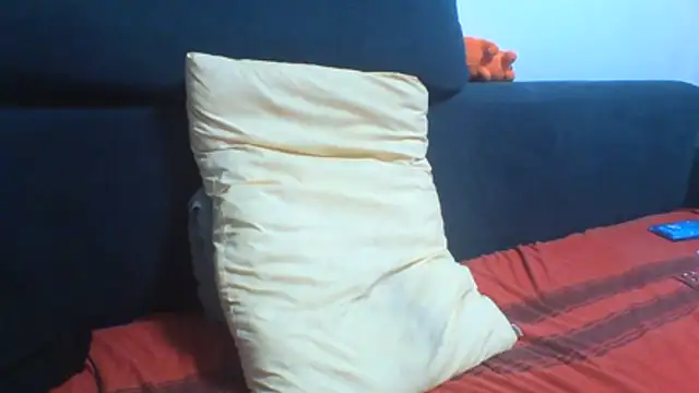 Show Webcam de KaelNox