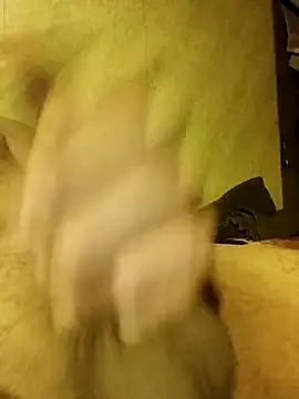 hardnhornybullのウェブカメラショー