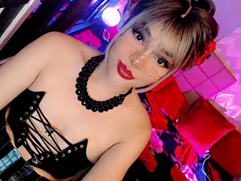 BEYBIDOMME 웹캠 쇼