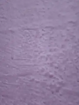 Živá chatovací místnost SweetNila_Official