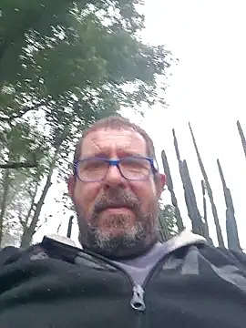 palmview2 webcam show