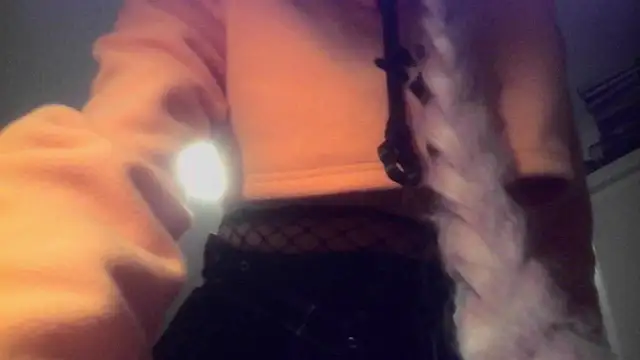 הופעת וובקאם של werdez