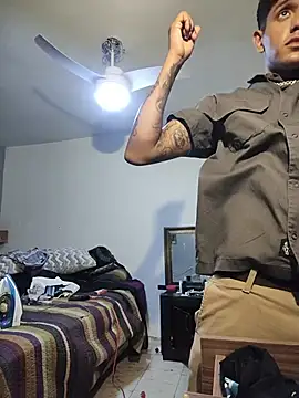 TOLEDIOS Show in webcam