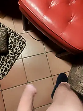 عرض كام TAMI61