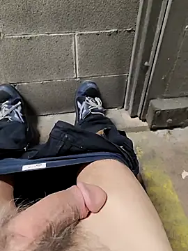 Show Webcam de TAMI61