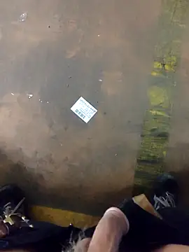 TAMI61n Webbikameraesitys