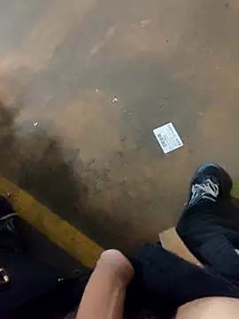 Show de TAMI61 na webcam