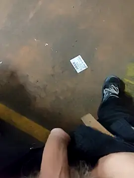 TAMI61 网络视讯表演