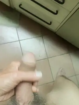 TAMI61n Webbikameraesitys