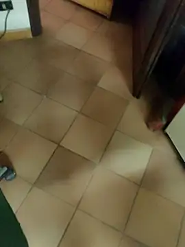 TAMI61 Show Webcam