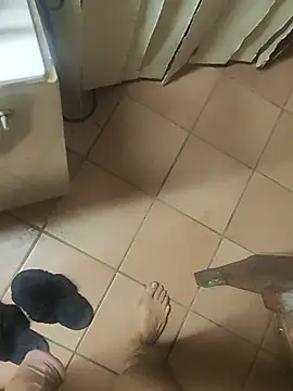 TAMI61n Webbikameraesitys