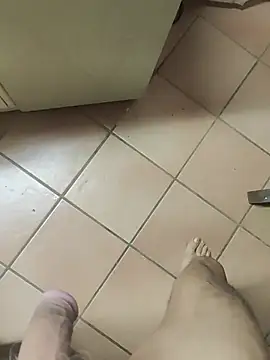 TAMI61n Webbikameraesitys