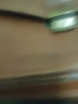 TAMI61 Show Webcam
