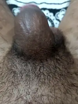 S1sexydick Webcam show