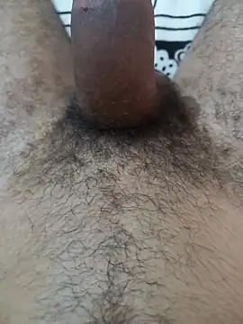 S1sexydick's Webcam Show
