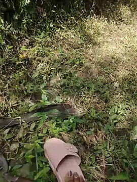 YOURBHABI143のウェブカメラショー
