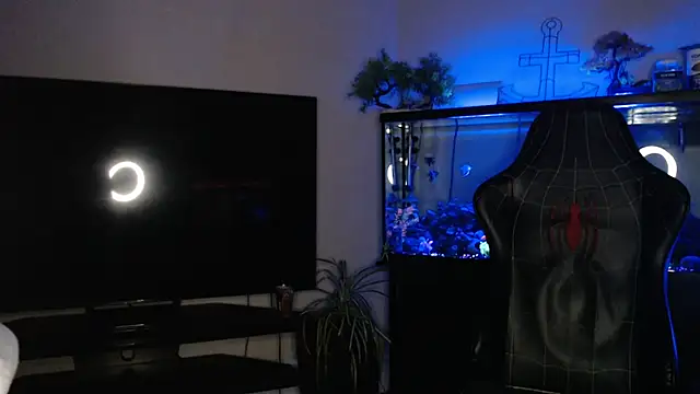 EspanolVato: вебкам-шоу