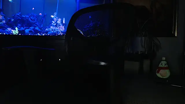 عرض كام EspanolVato