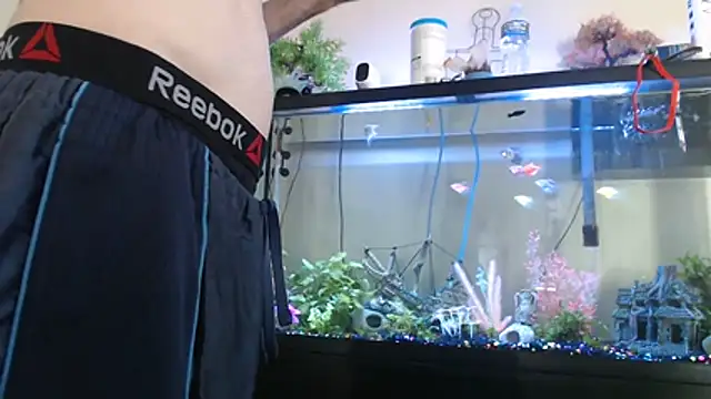 EspanolVaton Webbikameraesitys