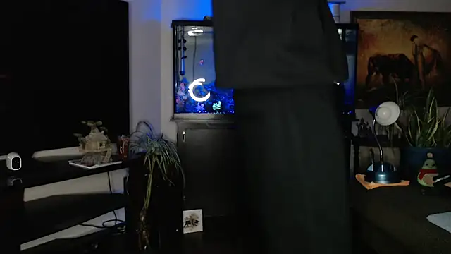 EspanolVato 网络视讯表演