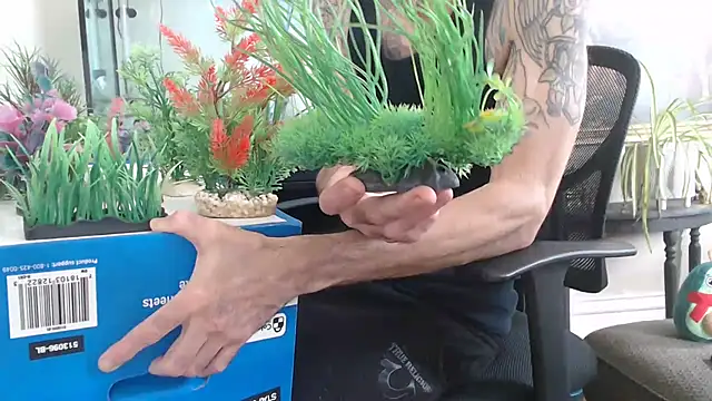 EspanolVato's Webcam Show