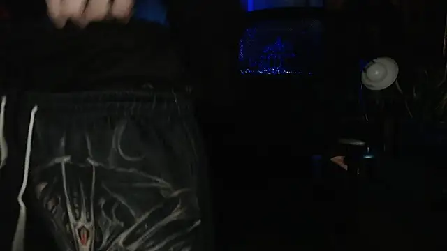 Show webcam de EspanolVato
