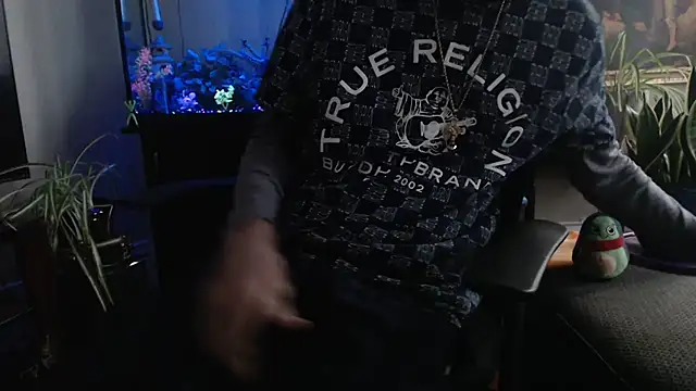 Show webcam de EspanolVato