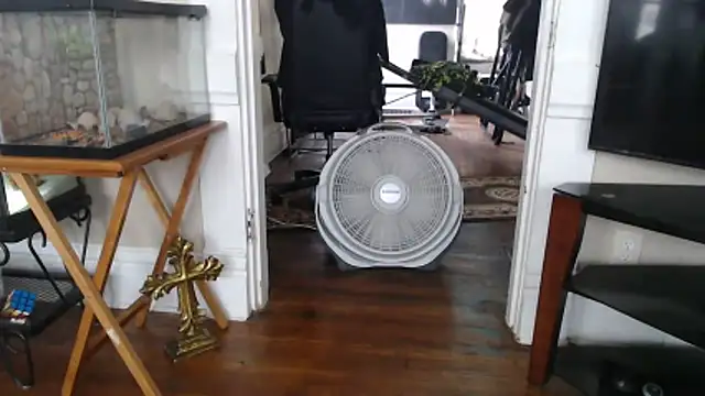 EspanolVato's Webcam Show