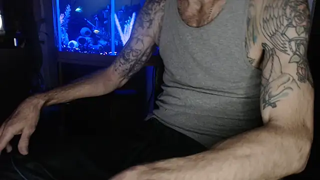 Show Webcam de EspanolVato