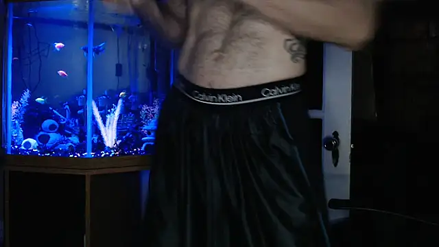 Show webcam de EspanolVato