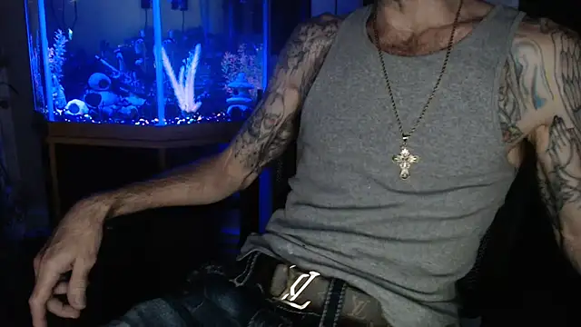 Show Webcam de EspanolVato