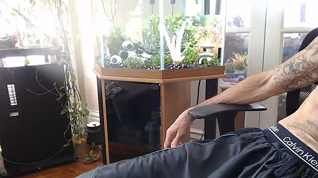 EspanolVato webkamerás műsora