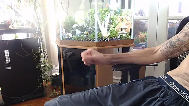 EspanolVato's Webcam Show