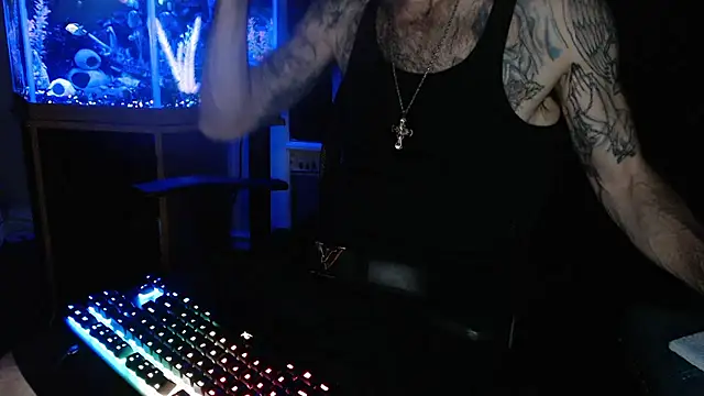 Show Webcam de EspanolVato