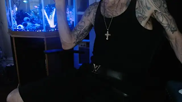 Show webcam de EspanolVato
